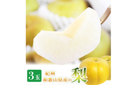 ya̎RV{szIBa̎RY̗ 3 ϔ 2026N8{?2026N9{ɏ tws  Ȃ iV ʕ  t[c Âyuot787z