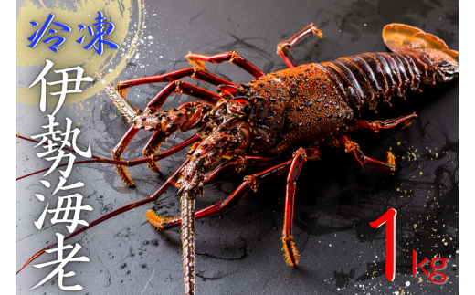 yOdFszyⓀzJY Hp ɐCV 1L hg ɐ Grymzsi0010z