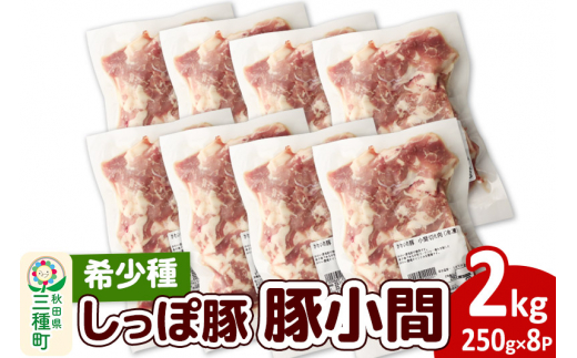 yHcO풬z킢_u[NV[Gv؏ 2kg