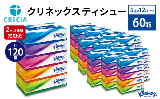 2ヶ月連続定期便】ティッシュペーパー クリネックスティシュー 60箱