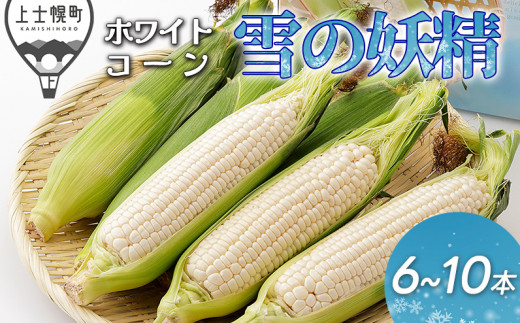 先行予約　2024年夏発送　北海道産　白いスイートコーン　とうもろこし　6本　10本｜北海道産ホワイトコーン　雪の妖精　◆2024年7月下旬発送開始予定