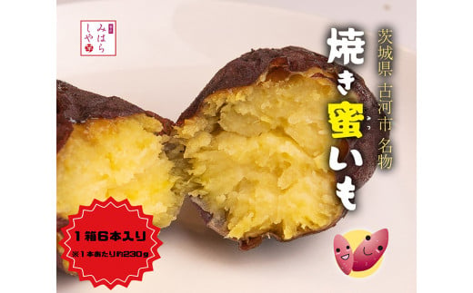 スイーツのような甘さ】焼き蜜いも（1箱6本入り）_DP12 - 茨城県古河市