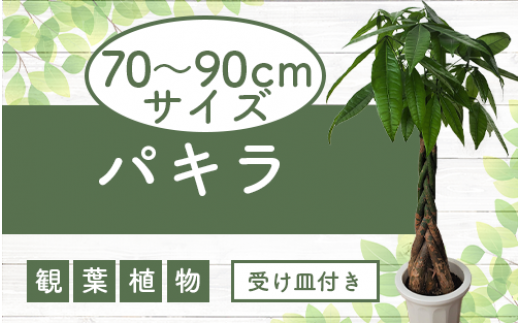 サンプル写真