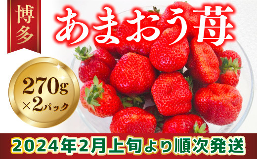 博多あまおう苺 270g×2パック 2024年2月上旬より順次発送 LZ006 - 福岡