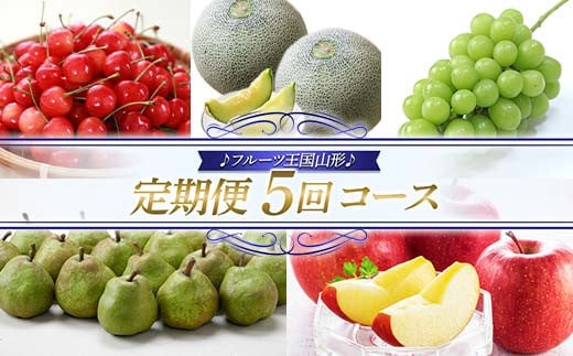 yR`zys\ 2026Nxzt[cR` 5R[X FSY-2445