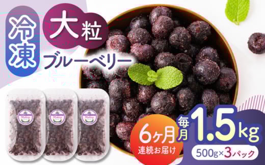 yF{Rszy6ցz嗱 Ⓚu[x[ 1500gi500g×3pcj y݂t@[zF{Y F{ u[x[ t[c X[W[ ʕ  Y t[c    [ZEP