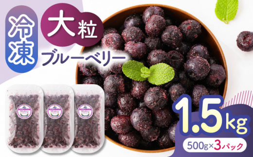 大粒 冷凍ブルーベリー 1500g（500g×3pc） 【すみれファーム】熊本県産 熊本 ブルーベリー フルーツ スムージー 果物 小分け 国産  フルーツ [ZEP008]