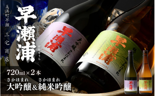 [m16-b005] 【早瀬浦】大吟醸 さかほまれ 720ml × 1本 ＆ 純米吟醸 さかほまれ 720ml × 1本 セット【飲み比べ 日本酒  地酒 福井 美浜 早瀬 フルーティ 男酒 硬水 ミネラル 希少 ご褒美 家飲み】