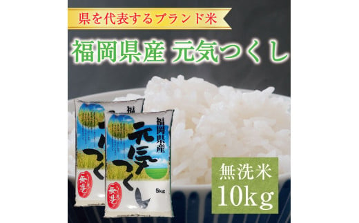 令和6年産 福岡県産元気つくし無洗米10kg(5kg×2) [a8197] 株式会社 藤食糧 【返礼品】添田町 ふるさと納税 -  福岡県添田町｜ふるさとチョイス - ふるさと納税サイト