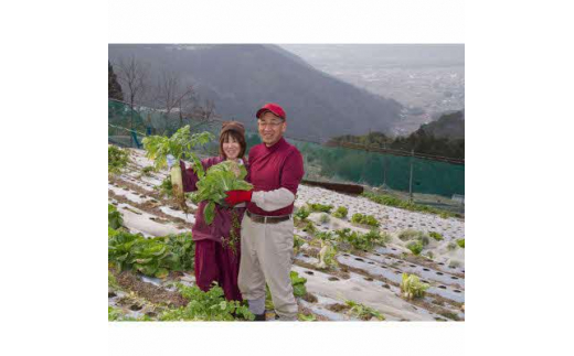 田口農園徳島の世界農業遺産ブランド野菜　 農家人が選ぶ旬野菜のおまかせセット【1381836】