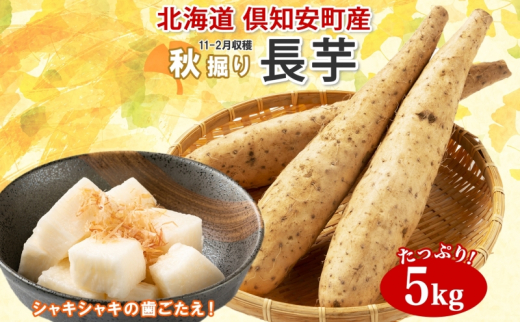 北海道十勝産長芋20キロ農家直送新物！ 北海道十勝産 長芋 20キロ