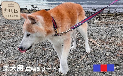 柴犬 首輪 リード