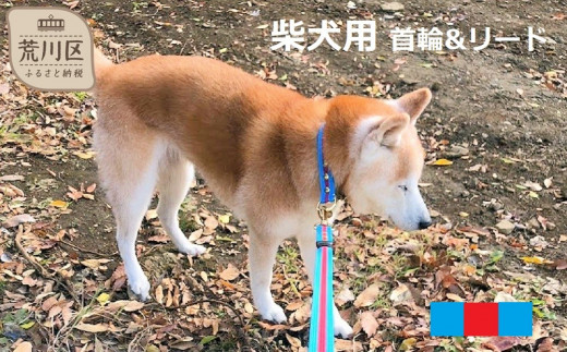 ストア しば犬 リード