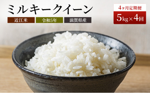 米 定期便 4ヶ月連続 近江米 ミルキークイーン 5kg 令和5年 お米 こめ