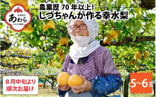 先行予約】しづちゃんが作る幸水梨 5～６玉入（2.5～3kg）農業歴70年以上！※2024年8月中旬より順次お届け -  福井県あわら市｜ふるさとチョイス - ふるさと納税サイト