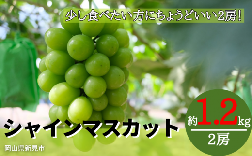 林農園 シャインマスカット 約1.2kg 2房 【先行予約 2024年10月上旬から順次発送】 - 岡山県新見市｜ふるさとチョイス - ふるさと納税 サイト