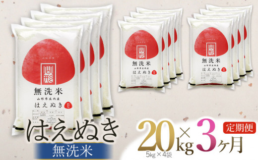 定期便】【令和6年産】 はえぬき 無洗米 20kg(5kg×4袋) ×3回(計