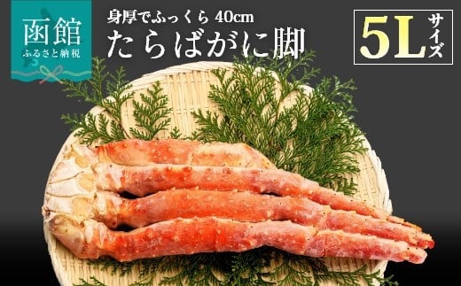 紅鮭切身・紅鮭切身粕漬け（１切真空）２箱セット_HD014-020 - 北海道