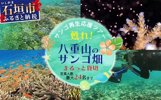 サンゴ再生応援ツアー ～甦れ！八重山のサンゴ畑～（24名まで） JL-2【沖縄 八重山 八重山諸島 石垣島 サンゴ サンゴ礁 応援 ツアー 体験】  ※ご寄付の前にご予約お願いします。 - 沖縄県石垣市｜ふるさとチョイス - ふるさと納税サイト