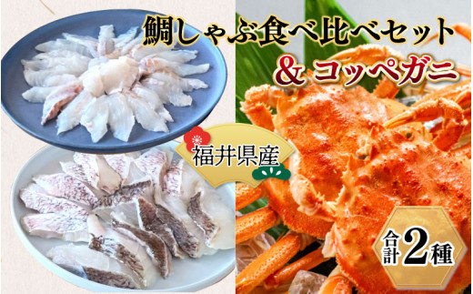 鯛しゃぶ食べ比べセット＆コッペガニ（プロトン凍結） - 福井県高浜町