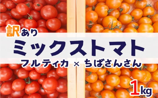 訳あり】『ミックストマト 』フルティカ ＆ シャイントマト 1kg (1000g