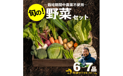 野菜 詰め合わせ セット 6～7品目 ツクヨミ ファーム ジャガイモ