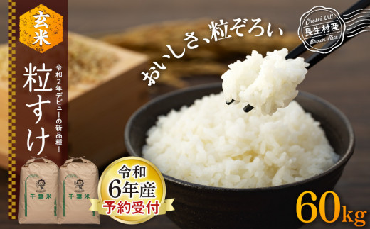 62.新米！令和6年産 千葉限定米 粒すけ 玄米30キロ （【8月下旬