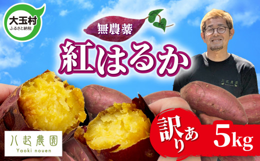 訳あり さつまいも 紅はるか 5kg 無農薬 規格外 不揃い サイズ混合 | さつまいも紅はるか 土付き サツマイモ スイートポテト おやつ 芋  さつま芋 福島県 大玉村 八起農園 ｜ yn-sm-wa‐b-5kg-r6 - 福島県大玉村｜ふるさとチョイス - ふるさと納税サイト