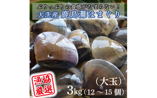 大洗産鹿島灘天然はまぐり 3㎏ 冷蔵 お吸い物 ハマグリ 蛤 貝 砂抜き処理 魚介類 大洗産 天然 はまぐり - 茨城県大洗町｜ふるさとチョイス -  ふるさと納税サイト