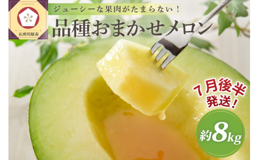 yX܏쌴szy2026N7㔼z X̃ 8kg  4`6 G`D