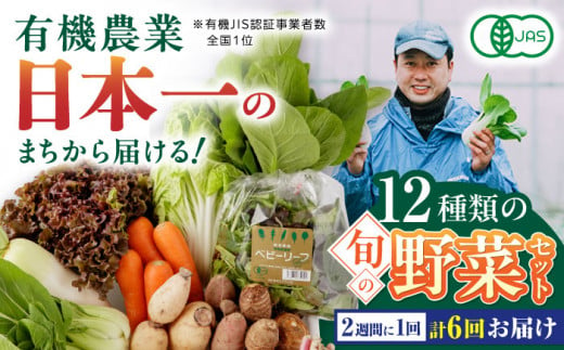 全6回隔週定期便】有機野菜 12種セット 野菜 詰め合わせ 熊本県