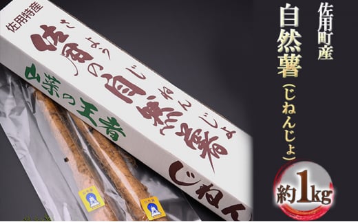 yɌpzpY Ri˂񂶂j1kg