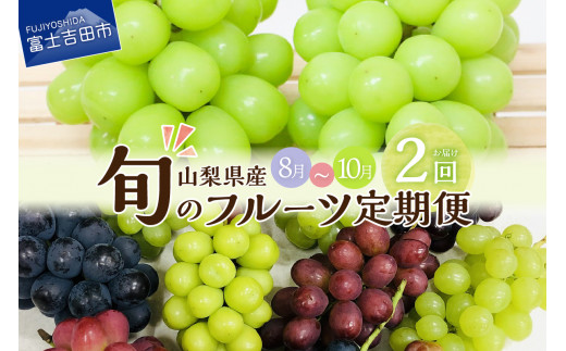 【2回お届け！】 旬のフルーツ 定期便 （ おまかせ旬のぶどう ・ シャインマスカット ） 山梨県産 シャインマスカット 果物 フルーツ  シャインマスカット 旬 山梨県 シャインマスカット フルーツ ぶどう フルーツ 高級 くだもの 2024年 先行予約 シャインマスカット ぶどう 予約  山梨