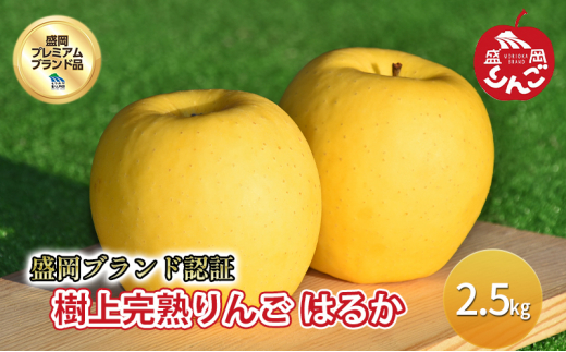 【りんご工房きただ】 樹上完熟りんご 盛岡プレミアムブランド認証「はるか」約2.5kg