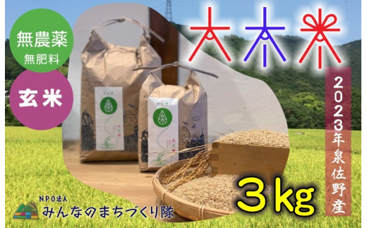 日本遺産の棚田景観で育てた大木米（無農薬・玄米）3kg