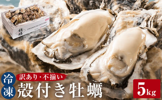 ＜訳あり・不揃い＞ 冷凍殻付き牡蠣 5kg 宮城県 石巻市 三陸産 カキ かき 加熱用 カンカン焼き ガンガン焼き 蒸し牡蠣 カキ 真牡蠣 BBQ  浜焼き バーベキュー 新鮮 急速冷凍 宮城県 石巻市 - 宮城県石巻市｜ふるさとチョイス - ふるさと納税サイト