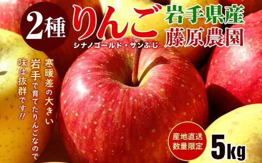 先行予約《2025年11月中旬～発送》藤原農園のりんご2種の詰め合わせ