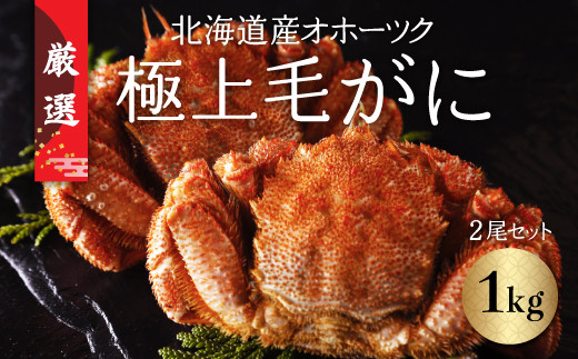 北海道産オホーツク極上毛がに（冷凍） 2尾セット（合計約1kg