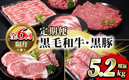 定期便・全6回(偶数月)＞鹿児島県産黒毛和牛・黒豚定期便(総量約5.2kg