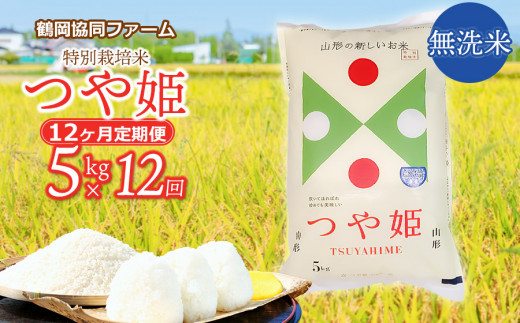 ふるさと納税 酒田市 【令和4年産】無洗米 特別栽培米 つや姫 5kg×1袋+