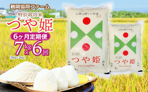 【令和7年産先行予約】特別栽培米つや姫 7kg (5kg+2kg)×6ヶ月【定期便】 鶴岡協同ファーム - 山形県鶴岡市｜ふるさとチョイス -  ふるさと納税サイト