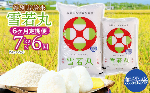 雪若丸 特別栽培米 令和6年産 白米 精米令和7年4月中旬 20kg 5kg×4 令和7年産先行予約】 特別栽培米雪若丸 無洗米 7kg (5kg+2kg) ×6ヶ月