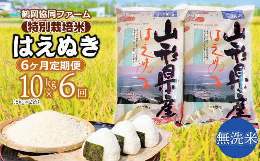 令和6年産先行予約】 特別栽培米はえぬき無洗米 10kg (5kg×2袋)×6ヶ月