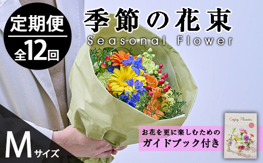 y{茧쒬zցE12(A)G߂̂y݃u[P(ԁFMTCY)  ԑ t[ A 蕨 CeAyFM-33zyt[Vbv܂z