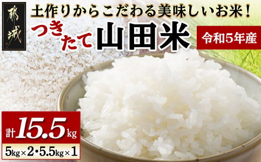 10月から6回お届け!】【農家直送】伝統の味! 都城産 ヒノヒカリ 10kg