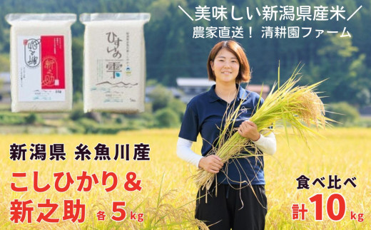 令和6年産新米予約】新之助・コシヒカリ 10kg (5kg×2袋) 美味しいお米の食べ比べ 清耕園ファーム 農家直送 ひすいの雫 新潟県産 糸魚川  2024年産 白米 保存に便利 真空パック 【新潟米 米 こめ こしひかり ご飯 ライス しんのすけ お弁当 おにぎり にも最適です お米 米 ...