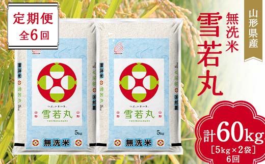 山形県産 無洗米 雪若丸 10kg（5kg×2袋) 全6回定期便 F2Y-3732 - 山形