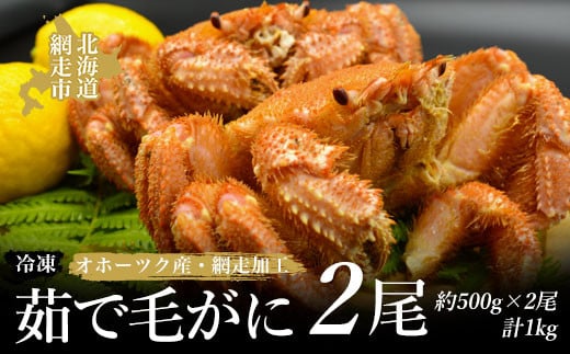 北海道産　活茹で毛蟹　2尾で約1キロ　活茹で冷凍 訳あり 活毛ガニ 北海道産 冷蔵 2尾セット 合計1kg前後 活き 未