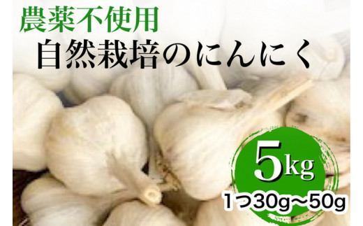 【2025年産 予約】にんにく 5kg 京都府・亀岡産 自然栽培のかたもとオーガニックファームよりお届け ※離島への発送不可  ※2025年6月下旬～9月下旬頃に順次発送予定 - 京都府亀岡市｜ふるさとチョイス - ふるさと納税サイト