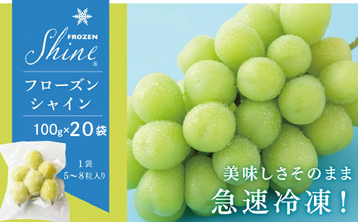 フローズン】 シャインマスカット 100ｇ×20袋 小分け※冷凍発送 098-012